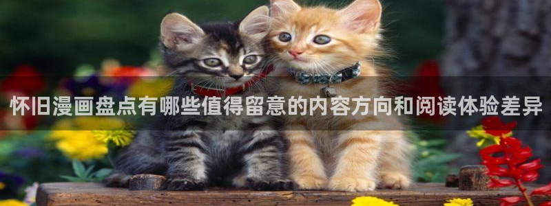 漫蛙漫画韩国漫画:怀旧漫画盘点有哪些值得留意的内容方向和阅读体验差异